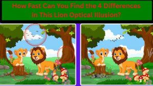 Optical Illusion