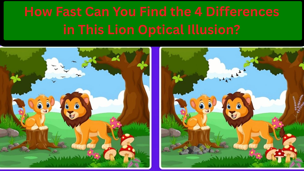 Optical Illusion