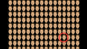 Optical Illusion